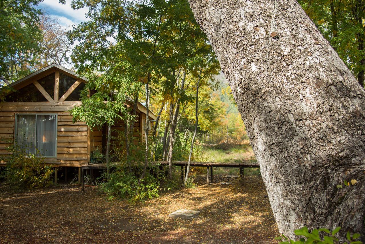 Cabañas Huilipan Las Trancas Exterior foto